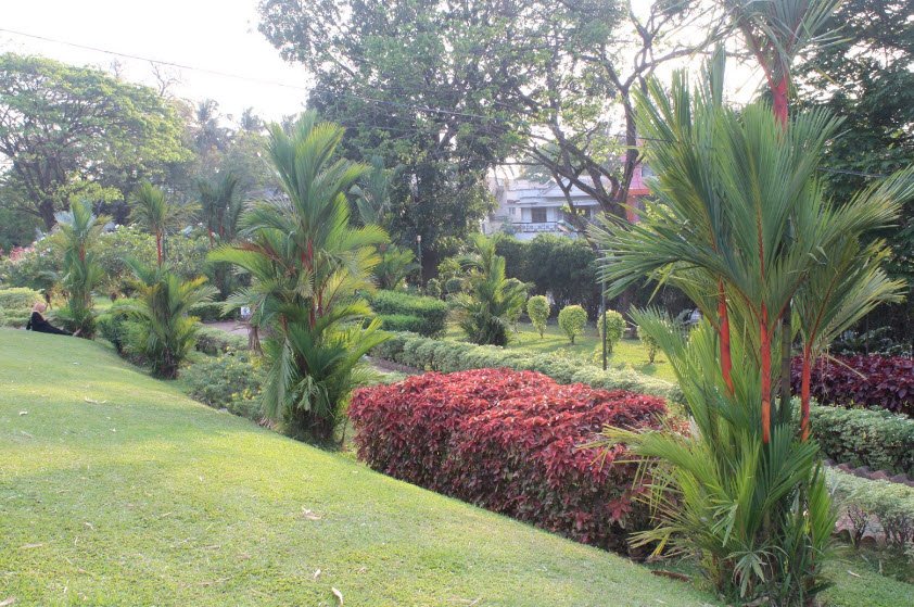 Vatika and Silavatika, Palakkad, Kerala - Vushii.com Vatika and Silavatika, Palakkad, Kerala - Vushii.com